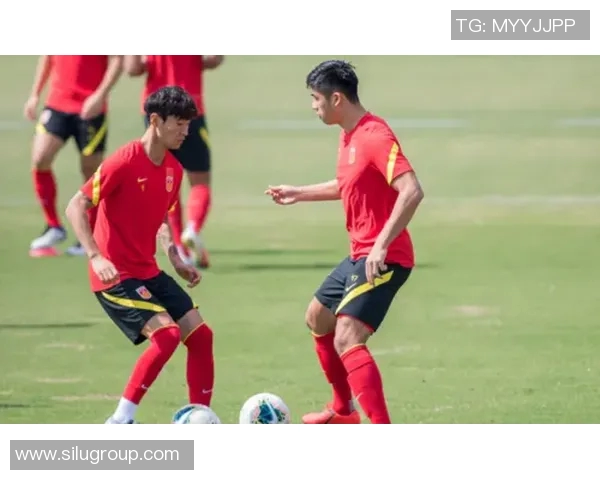 恒大与辽宁新开精彩对决录像回放全程回顾与分析