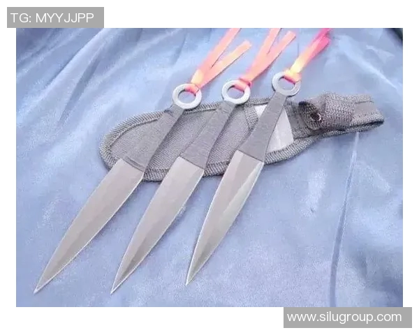 扑刀技艺的传承与创新探索传统与现代的完美结合